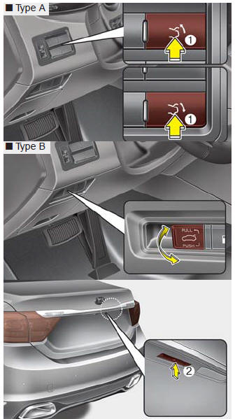 (1) Power Trunk Main Control button (or lever)