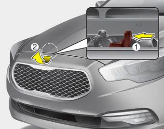 2.Go to the front of the vehicle, raise the hood slightly, push the secondary