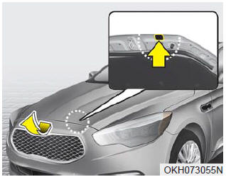 The refrigerant label is located on the underside of the hood.